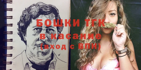 индика Абинск