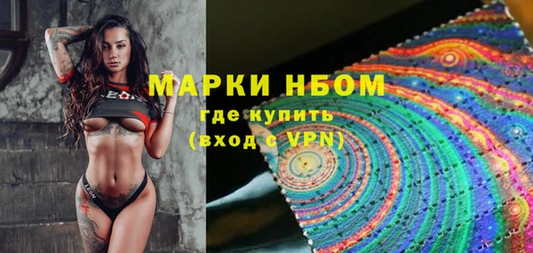 индика Абинск
