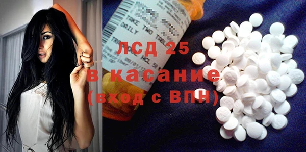 индика Абинск