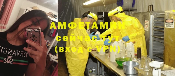 индика Абинск