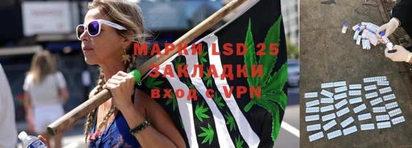 индика Абинск
