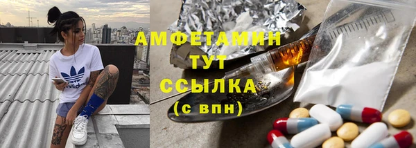 индика Абинск