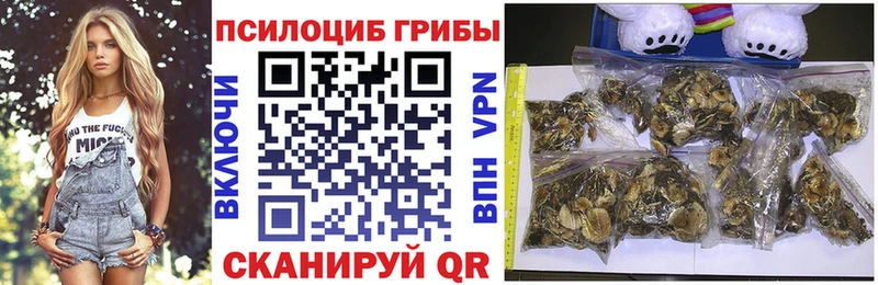 Псилоцибиновые грибы прущие грибы  Горячеводский 